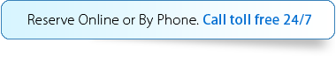 phone number